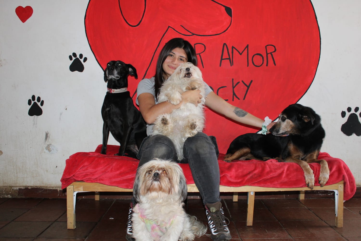 Voluntaria sostiene a un cachorro rescatado