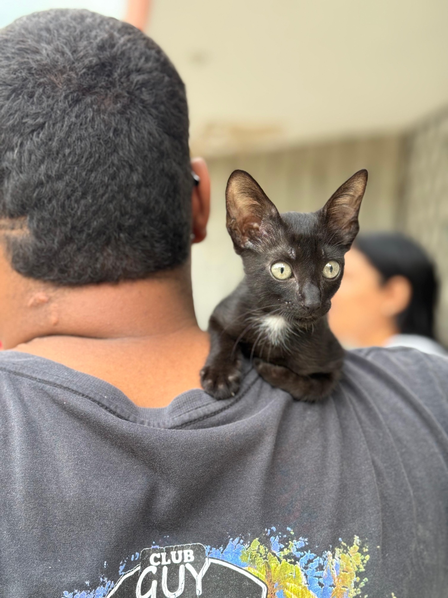 Cachorro rescatado en adopción