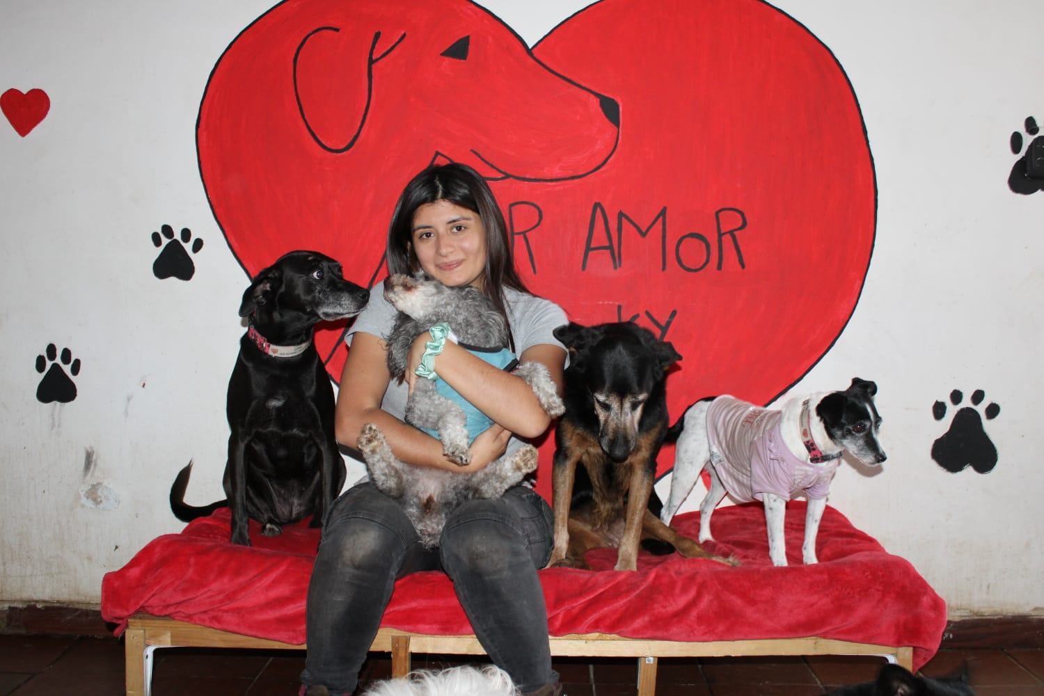 Perro rescatado abrazado por una voluntaria